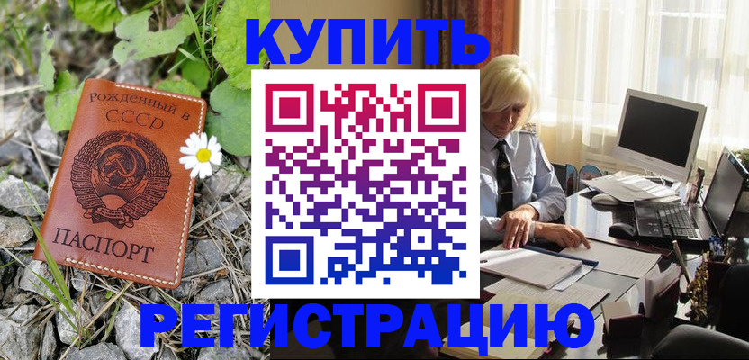 временная регистрация недорого в Новгородской области